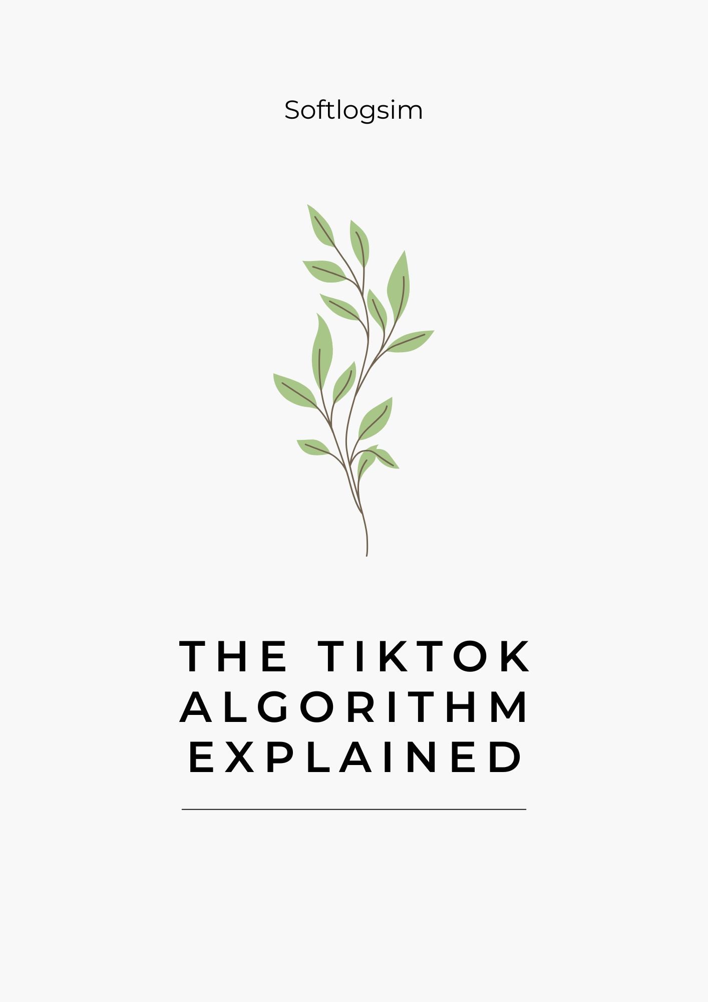 The TikTok Algorithm Explained
